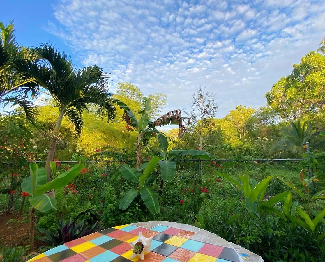 Judy House Cottages And Rooms Negril Hostal