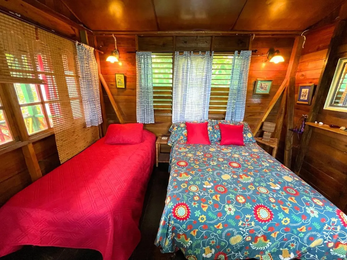 Judy House Cottages And Rooms contacts