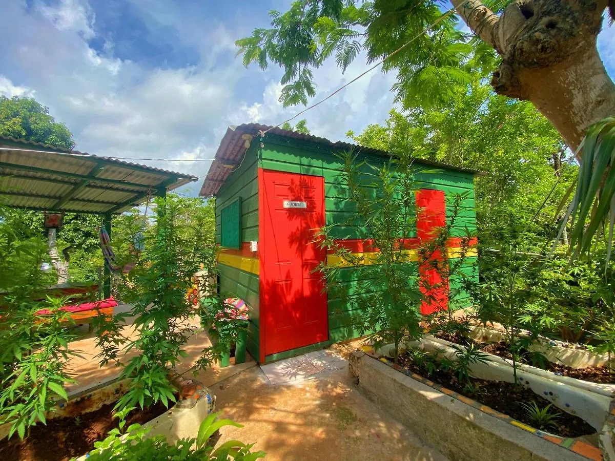 Hostel Judy House Cottages And Rooms